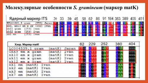 Конференция «Актуальные проблемы биологии и экологии в работах молодых исследователей»